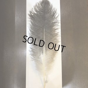 画像4: ナチュラルオーストリッチ(特大)