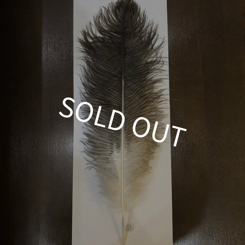 画像4: ナチュラルオーストリッチ(特大) (4)