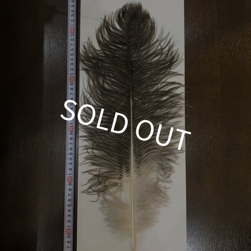 画像1: ナチュラルオーストリッチ(特大) (1)