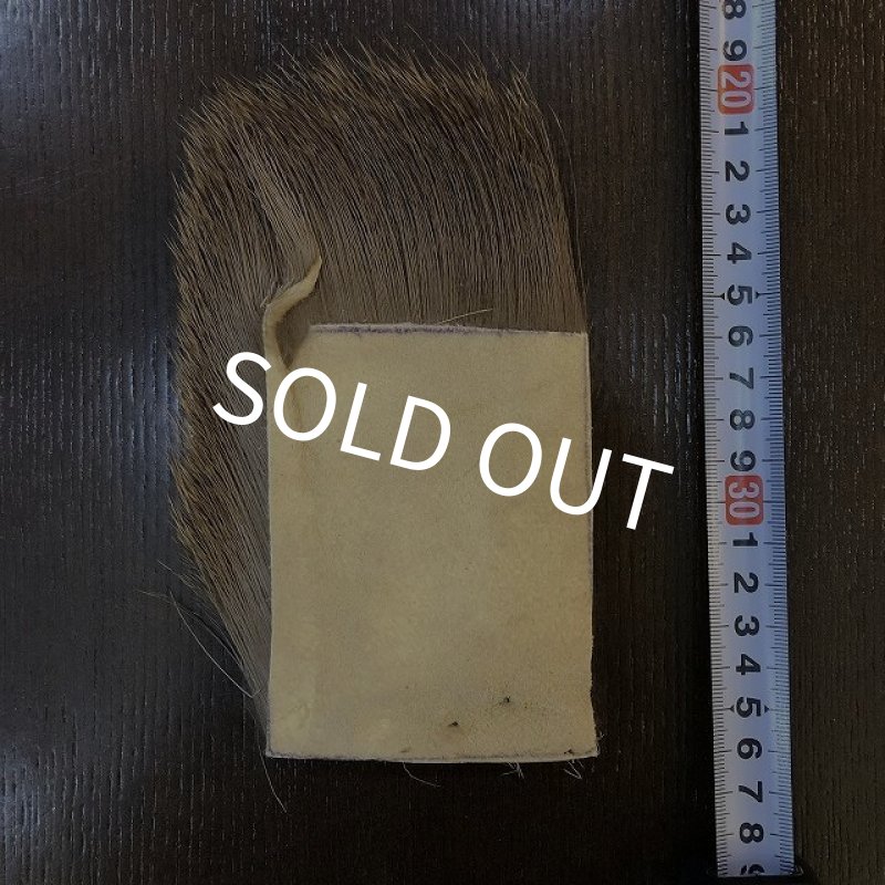 画像2: 【ANGLE】EX SELECT ELK LARGE (NATURAL) (2)