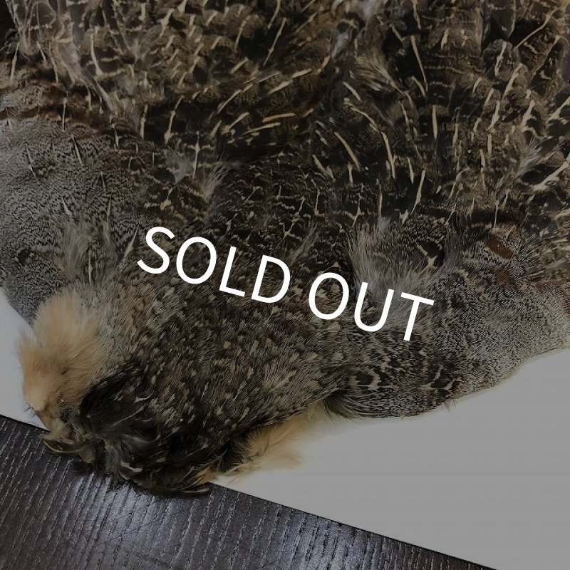 画像2: パートリッジコンプリートスキン（特価） (2)