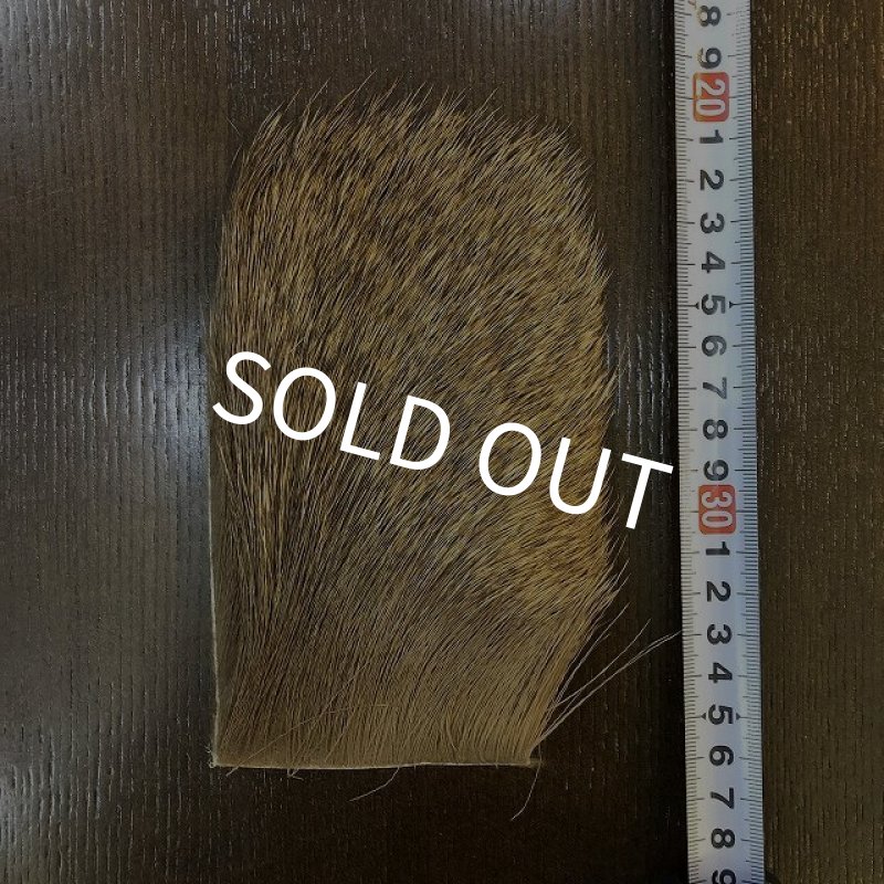 画像1: 【ANGLE】EX SELECT ELK LARGE (NATURAL) (1)