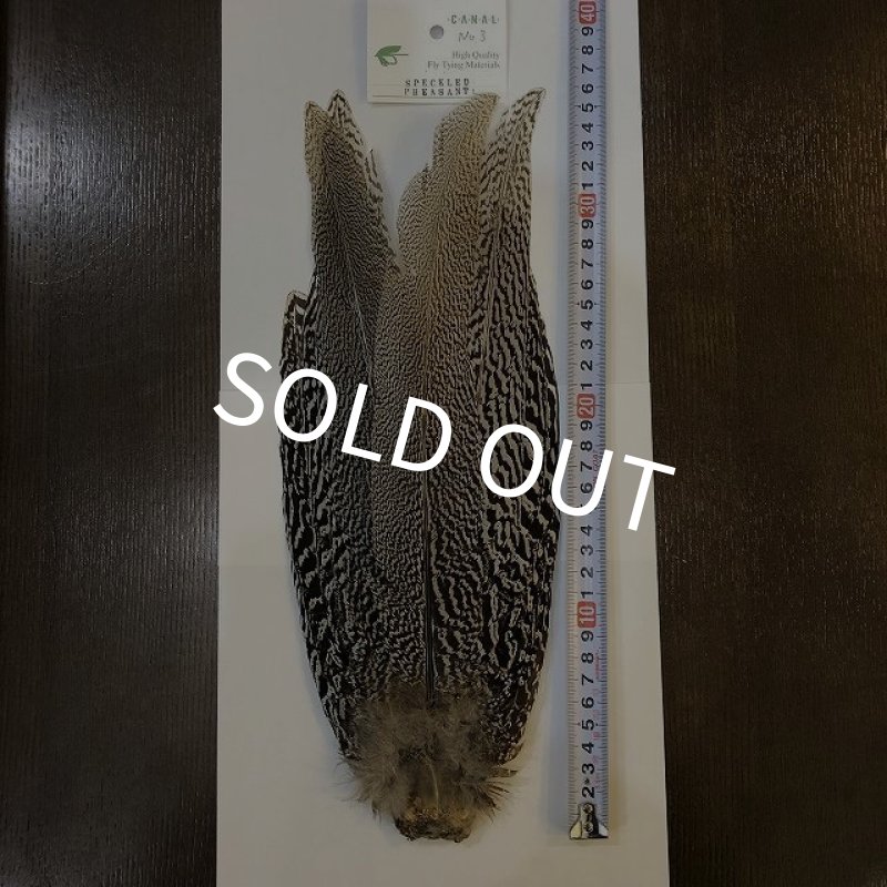 画像1: 【CANAL】 Speckled Pheasant コンプリートテール L (No.3) (1)