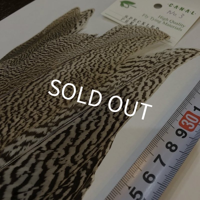 画像3: 【CANAL】 Speckled Pheasant コンプリートテール L (No.3) (3)