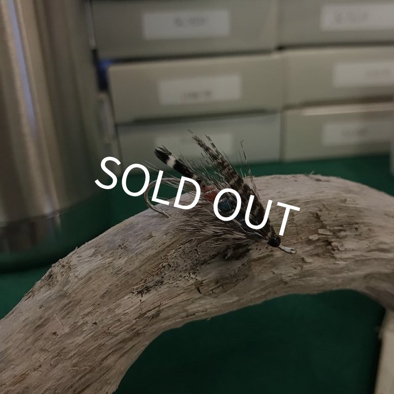 画像1: 【Aqua Flies】 GT-40 (1)