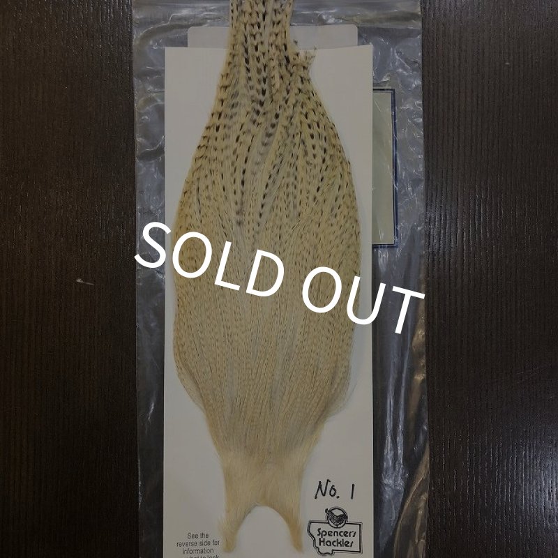 画像1: 【Spencer'sHackles】 Spencer Hackle Cock Neck Select Natural #2 (SALE) (1)