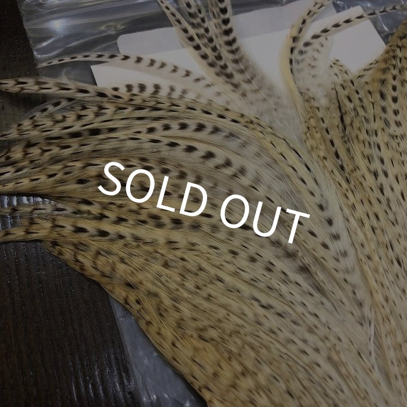 画像3: 【Spencer'sHackles】 Spencer Hackle Cock Neck Select Natural #2 (SALE) (3)