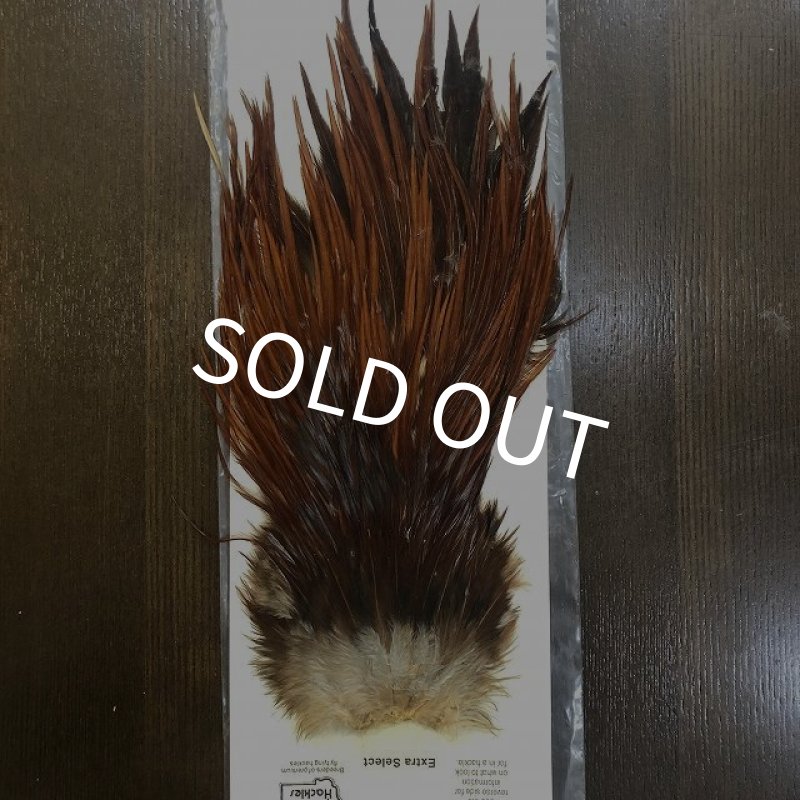 画像1: 【Spencer'sHackles】 Cock Saddle Extra Select Brown #1 (SALE) (1)