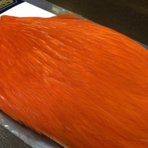 画像3: 【WHITING】AMERICAN ROOSTER CAPE - Orange