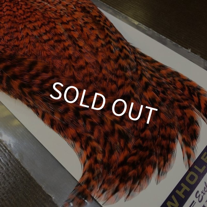 画像4: 【WHITING】AMERICAN ROOSTER CAPE - Grizzly Orange (4)