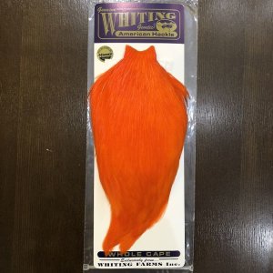 画像1: 【WHITING】AMERICAN ROOSTER CAPE - Orange