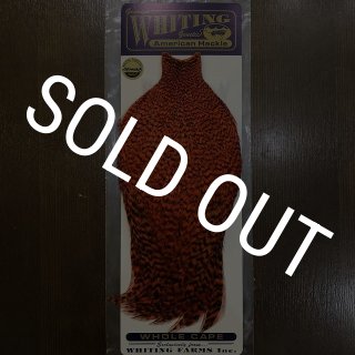 WHITING】AMERICAN ROOSTER CAPE - Grizzly Orange