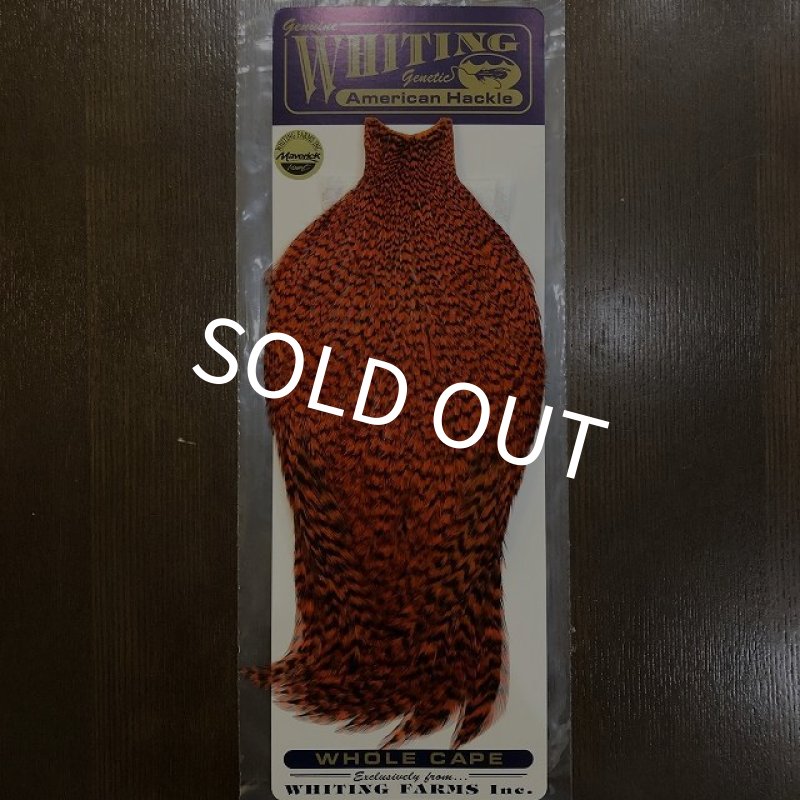 画像1: 【WHITING】AMERICAN ROOSTER CAPE - Grizzly Orange (1)