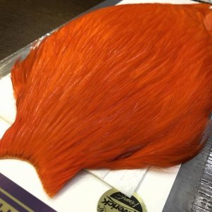 画像4: 【WHITING】AMERICAN ROOSTER CAPE - Orange