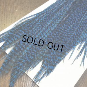 画像4: 【WHITING】 Winger Saddle