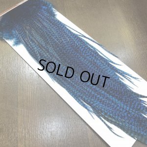 画像3: 【WHITING】 Winger Saddle