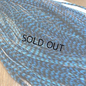 画像5: 【WHITING】 Winger Saddle