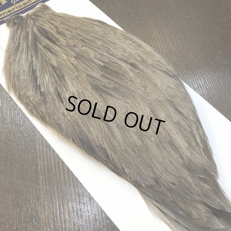 画像2: 【WHITING】 AMERICAN NECK NA MEDIUM DUN (2)