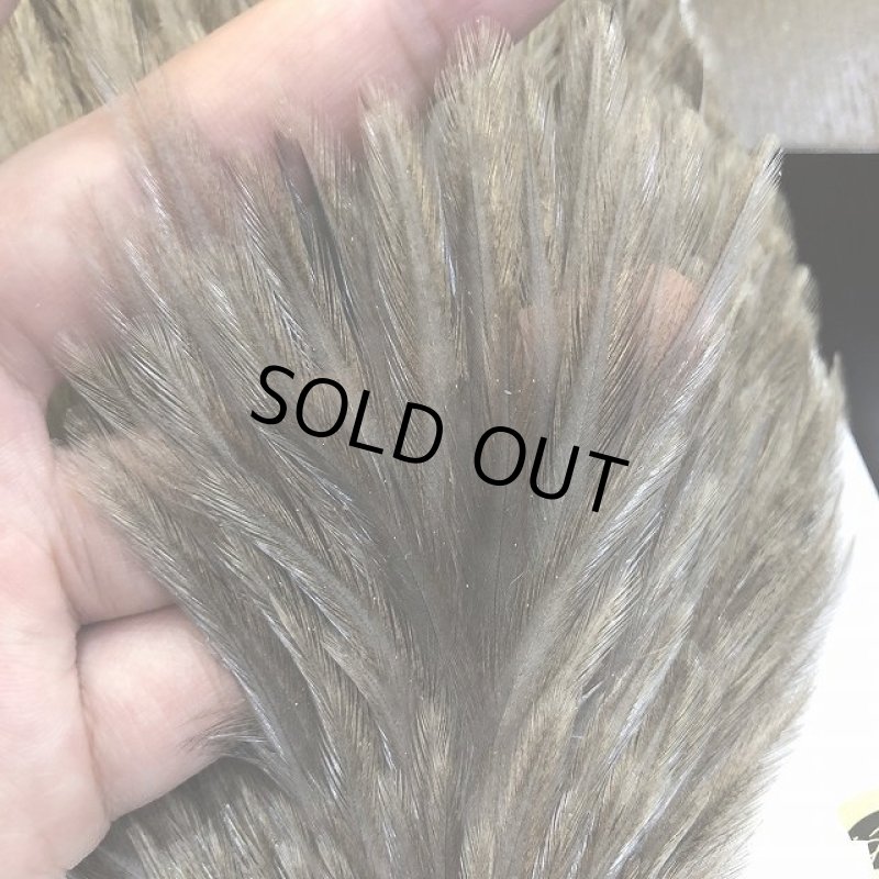 画像4: 【WHITING】 AMERICAN NECK NA MEDIUM DUN (4)