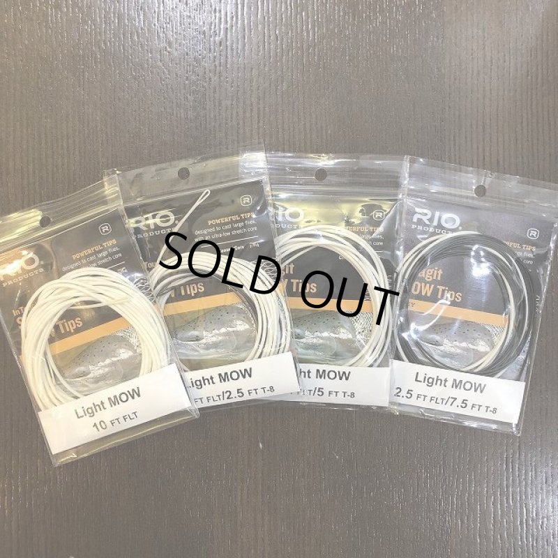 画像1: 【RIO】InTouch Skagit Light Mow Tip (1)