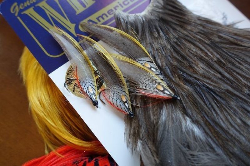 画像2: 【WHITING】 AMERICAN NECK NA MEDIUM DUN