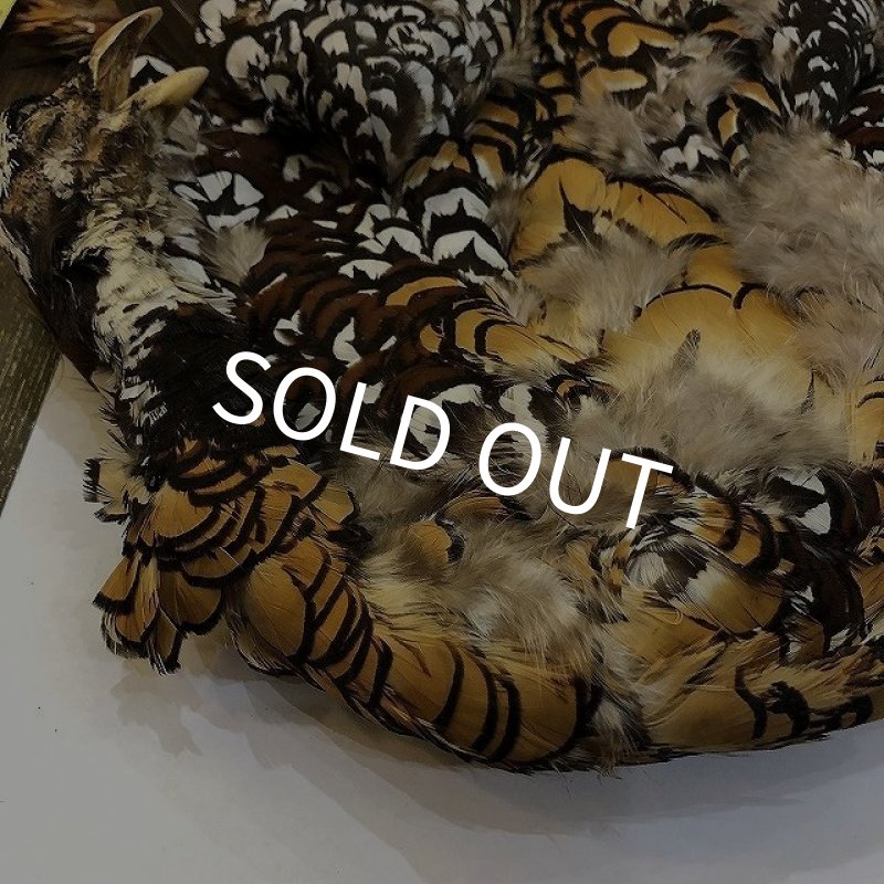 画像2: 【CANAL】 REEVES COCK PHEASANT (2)