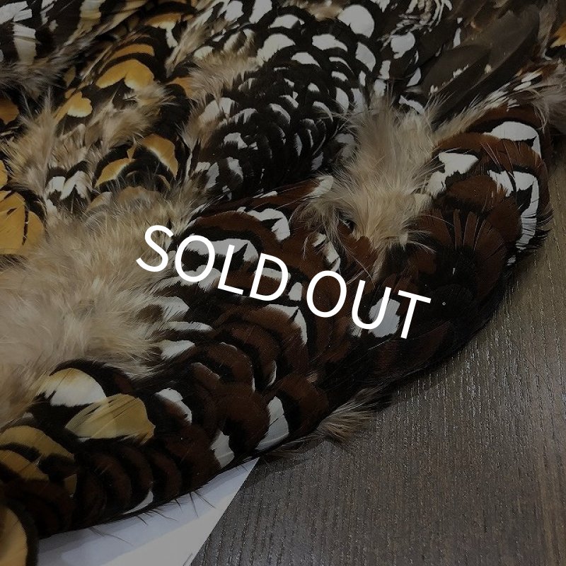 画像3: 【CANAL】 REEVES COCK PHEASANT (3)