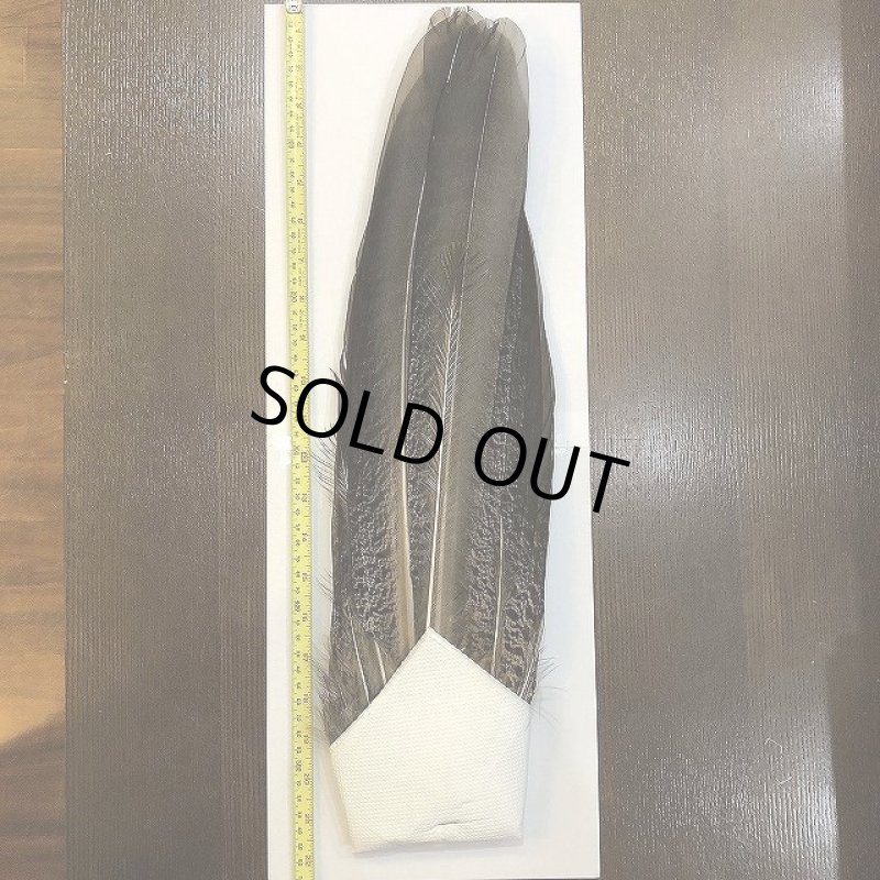 画像1: 【CANAL】PEACOCK TAIL (1)