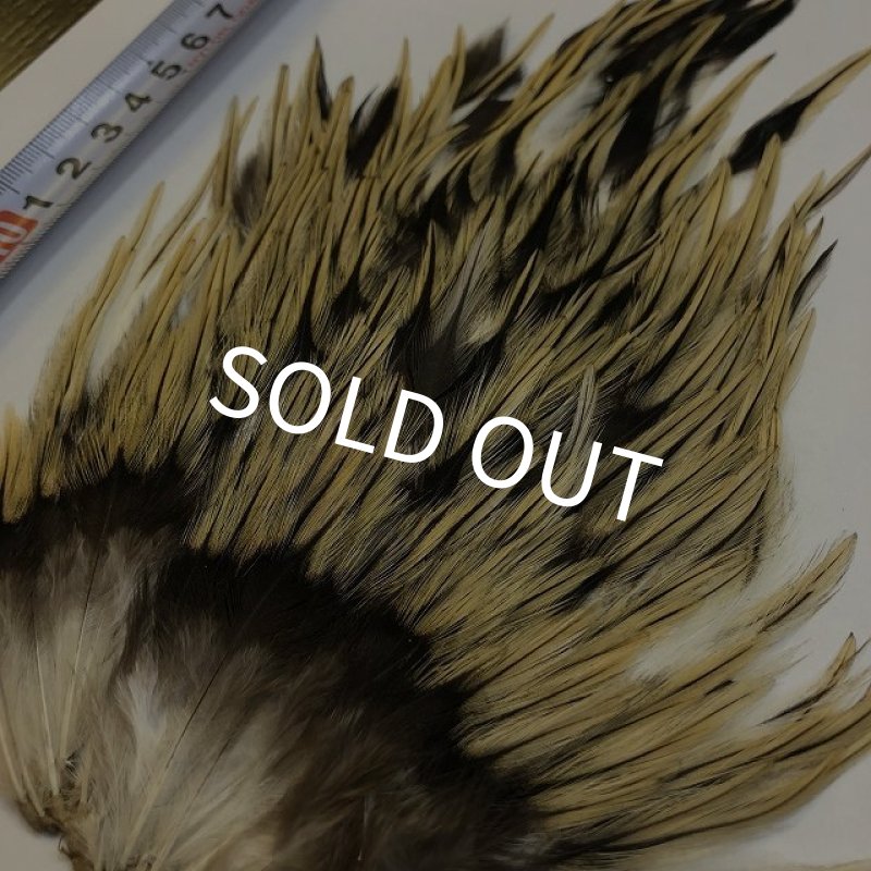 画像3: 【ANGLE】インドコックサドルパッチ(バジャー) (3)