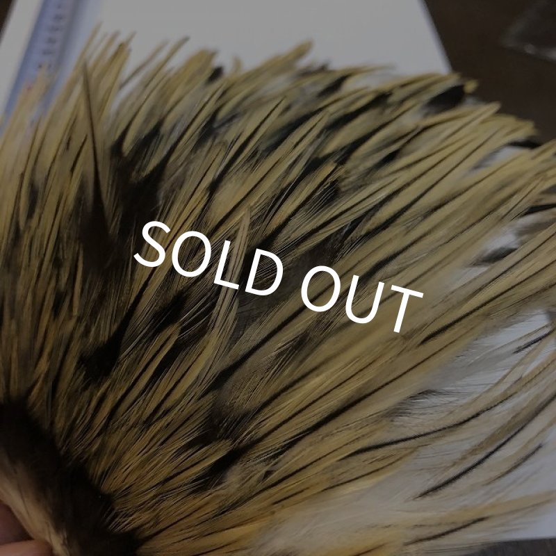 画像5: 【ANGLE】インドコックサドルパッチ(バジャー) (5)