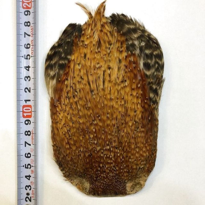 画像5: 【ANGLE】インドコックハックルケープ(レッドバリアント) (5)