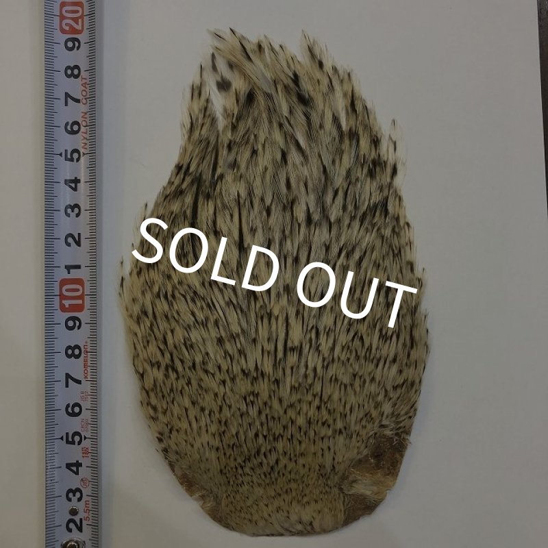 画像2: 【ANGLE】インドコックハックルケープ(グレイバリアント) (2)