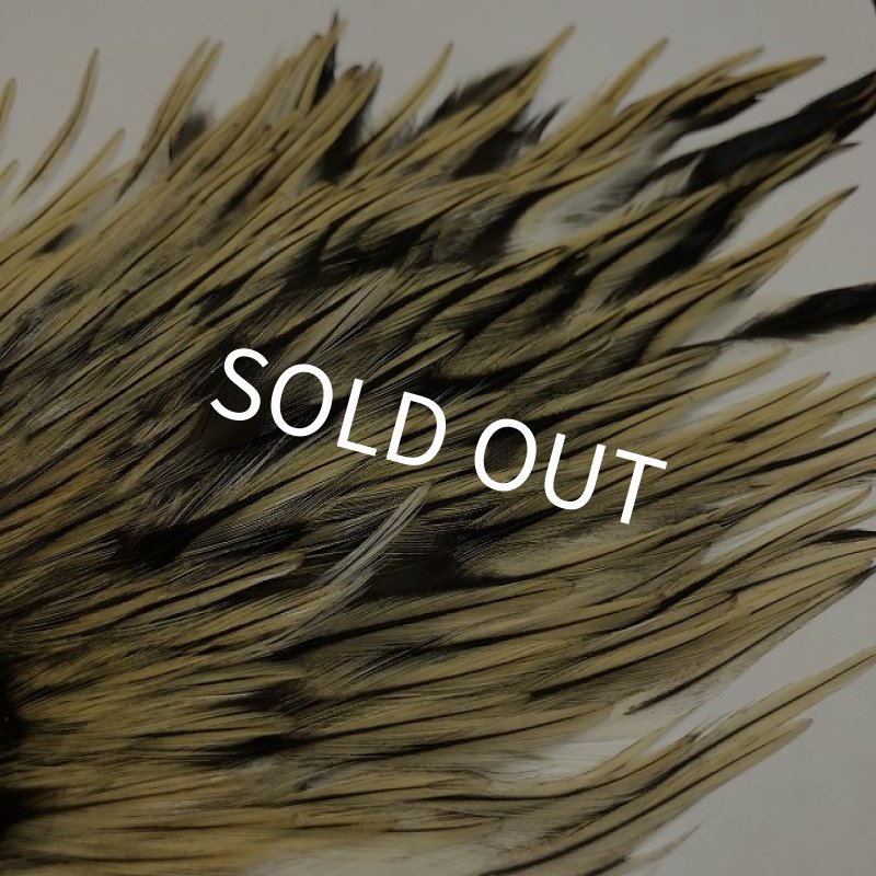 画像4: 【ANGLE】インドコックサドルパッチ(バジャー) (4)