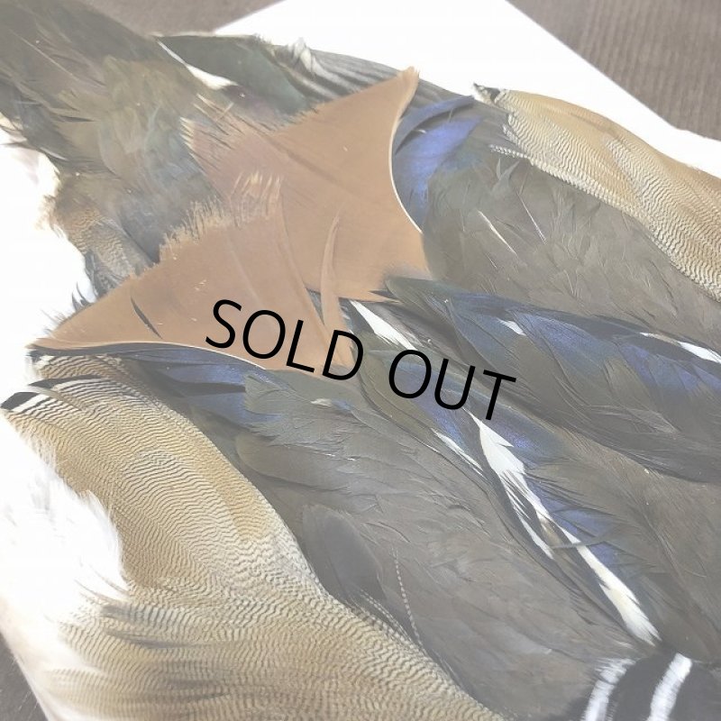 画像5: Mandarin duck コンプリート (5)