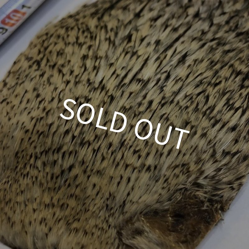 画像3: 【ANGLE】インドコックハックルケープ(グレイバリアント) (3)