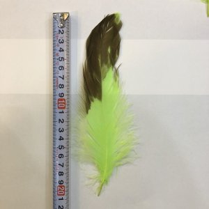 画像3: 【CANAL】 EAGLE HACKLE