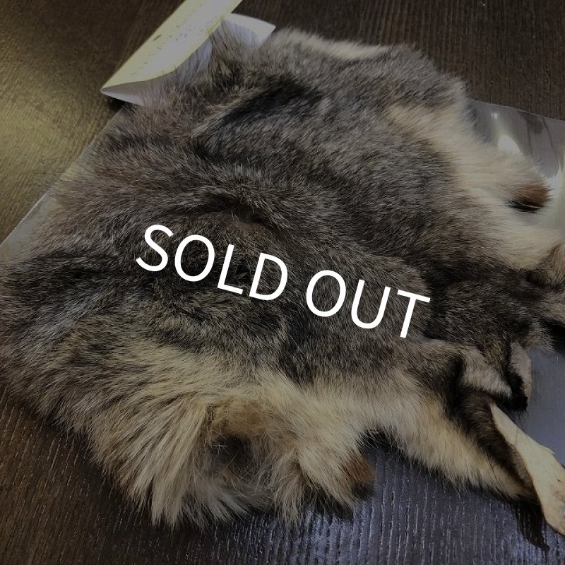 画像2: 【TORNADO】　オポッサムボディ (2)