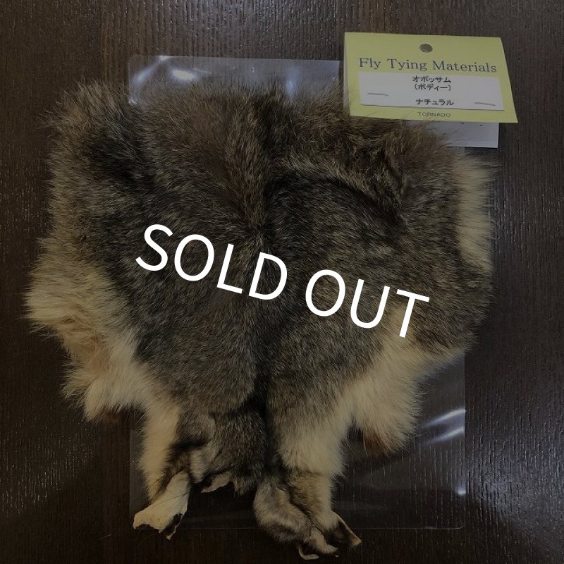 画像1: 【TORNADO】　オポッサムボディ (1)