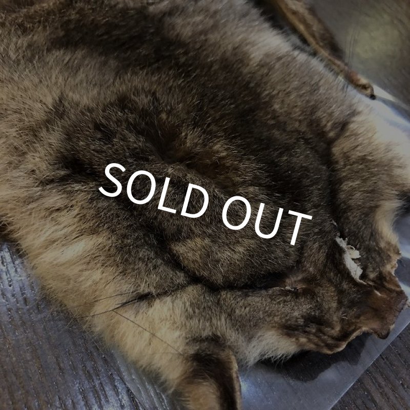 画像3: 【TORNADO】　オポッサムマスク (3)