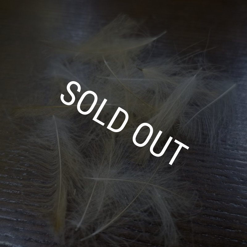 画像3: 【Trout Hunter】 Premium CDC 3.5g (3)