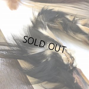 画像2: 【CANAL】 Purple Heron コンプリート