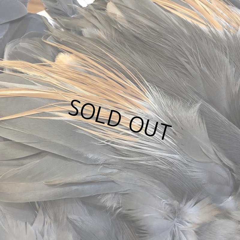 画像6: 【CANAL】 Purple Heron コンプリート (6)