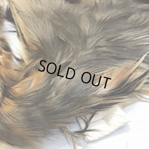 画像3: 【CANAL】 Purple Heron コンプリート