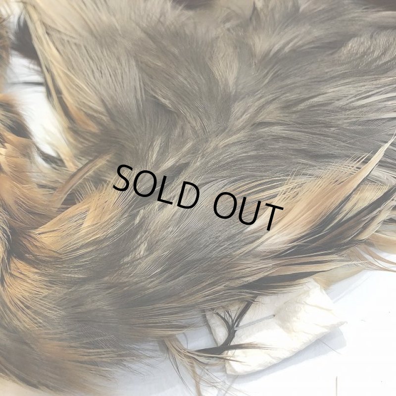 画像3: 【CANAL】 Purple Heron コンプリート (3)