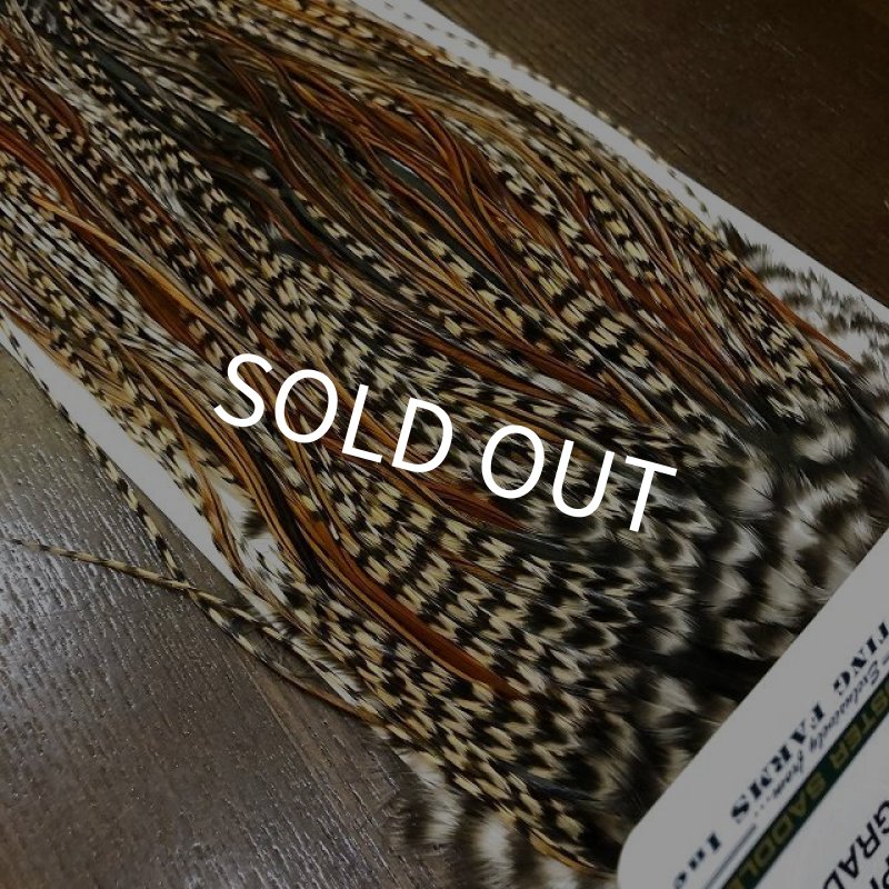 画像4: 【WHITING】 Hebert Pro Grade Saddle Cree No.3 #14 (4)