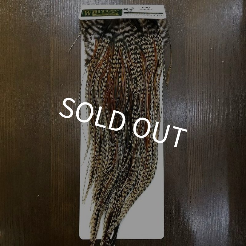 画像1: 【WHITING】 Hebert Pro Grade Saddle Cree No.3 #14 (1)