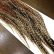 画像2: 【WHITING】 Hebert Pro Grade Saddle Cree No.3 #14 (2)