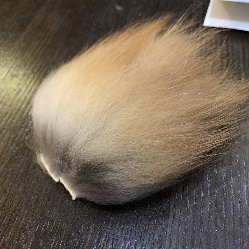 画像2: 【CANAL】 RED FOX BODY (2)