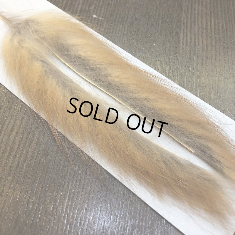 画像3: 【CANAL】RED FOX ZONKER (3)