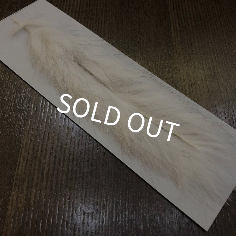 画像3: 【CANAL】BLUE FOX ZONKER (3)